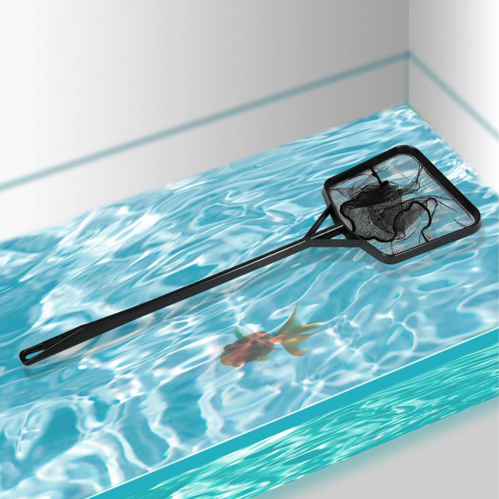 Aquarium-Schöpfnetz, Fischbeck – Pool Skimmer Net Bewertung und Preis