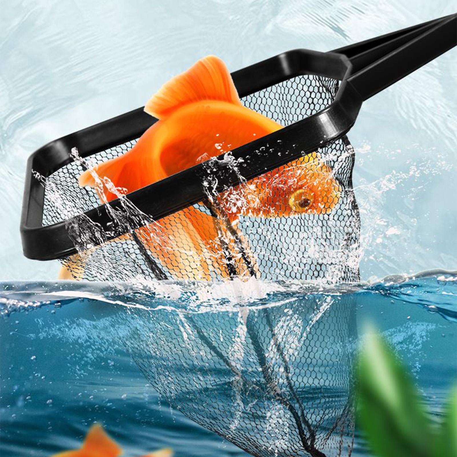 Aquarium-Schöpfnetz, Fischbeck – Pool Skimmer Net Bewertung und Preis